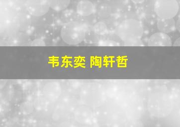 韦东奕 陶轩哲